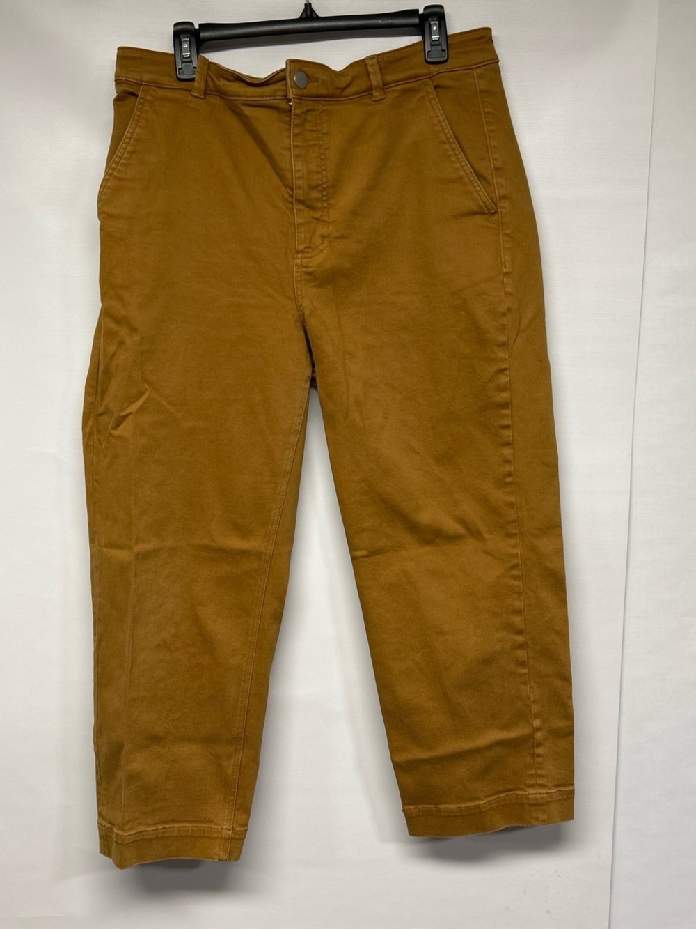 Everlane Men's Tan Chinos